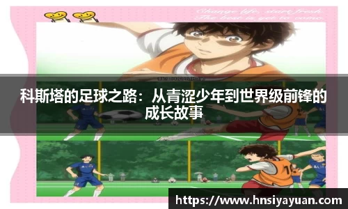 k1体育网页版