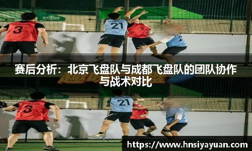 k1体育官方网站